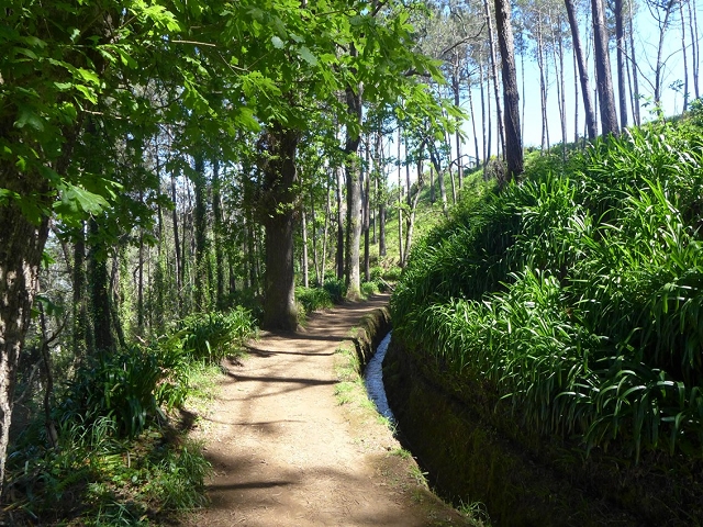 Levada da Serra do Faial von Lamaceiros/Lombo da Raiz zum Pico do Infante — Abschnitt 1 — Foto 7