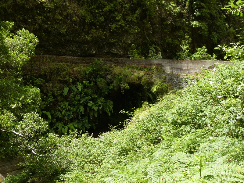 Levada da Serra do Faial — Abschnitt 2 — Foto 9