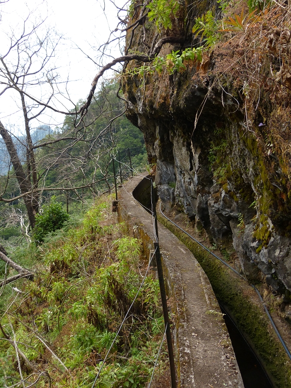 Levada da Serra do Faial — Weiter bis zum Ende — Foto 1