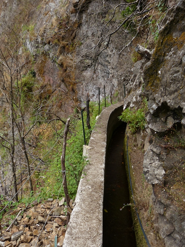 Levada da Serra do Faial — Weiter bis zum Ende — Foto 2