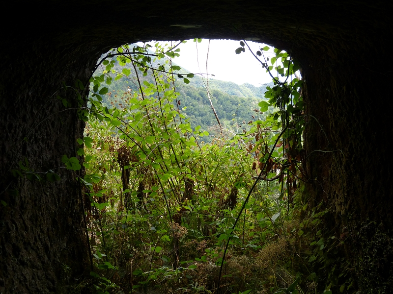 Levada da Serra do Faial — Weiter bis zum Ende — Foto 3