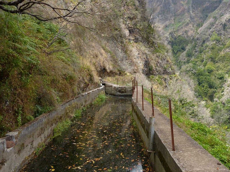 Levada da Serra do Faial — Weiter bis zum Ende — Foto 4