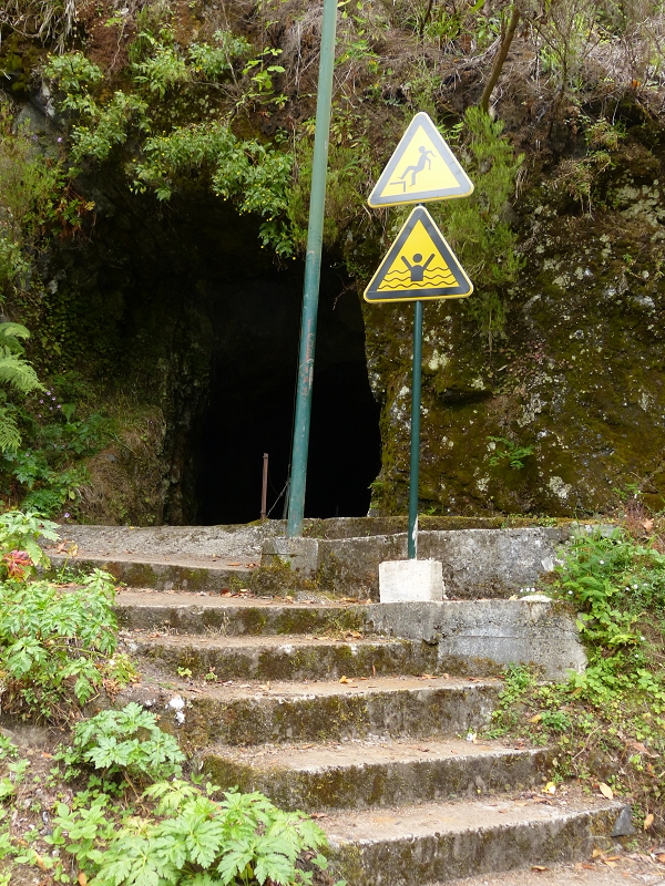 Levada da Serra do Faial — Weiter bis zum Ende — Foto 5