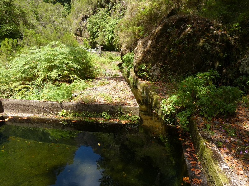 Levada da Serra do Faial — Abschnitt 2 — Foto 10