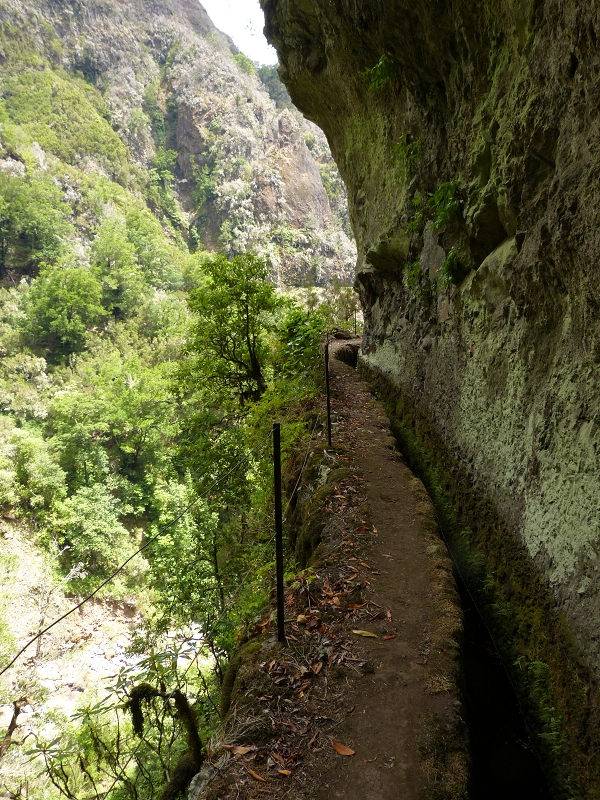 Levada da Serra do Faial — Verlauf bis zum Wasserstollen — Foto 2