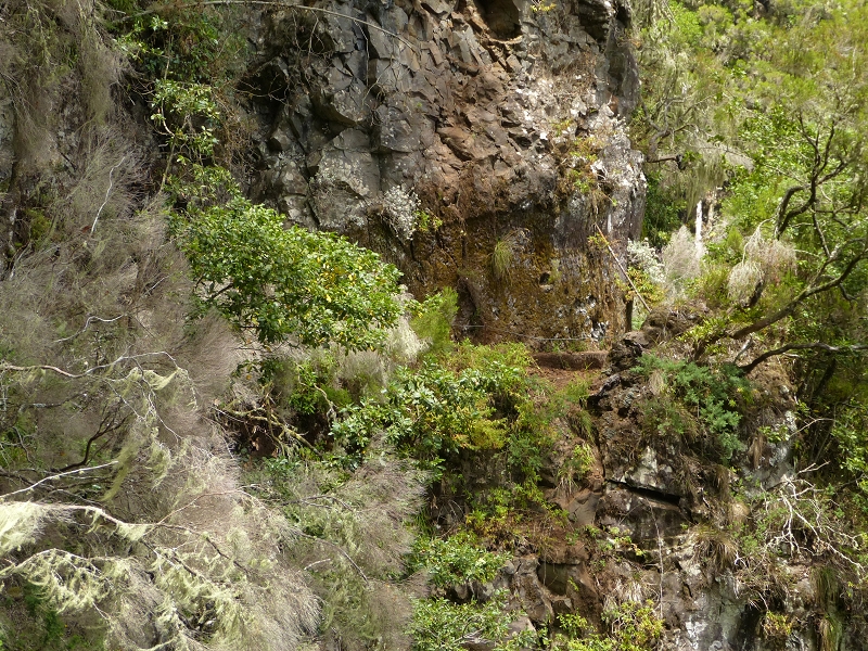 Levada da Serra do Faial — Verlauf bis zum Wasserstollen — Foto 3