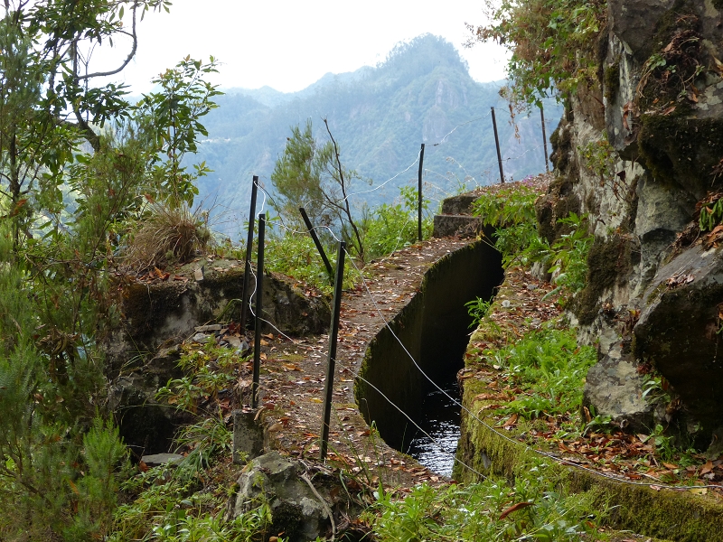 Levada da Serra do Faial — Verlauf bis zum Wasserstollen — Foto 4