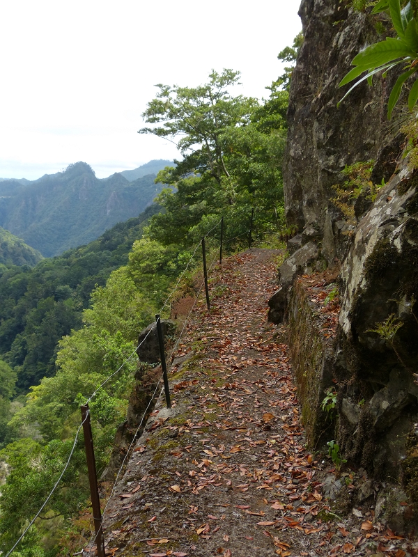 Levada da Serra do Faial — Verlauf bis zum Wasserstollen — Foto 5