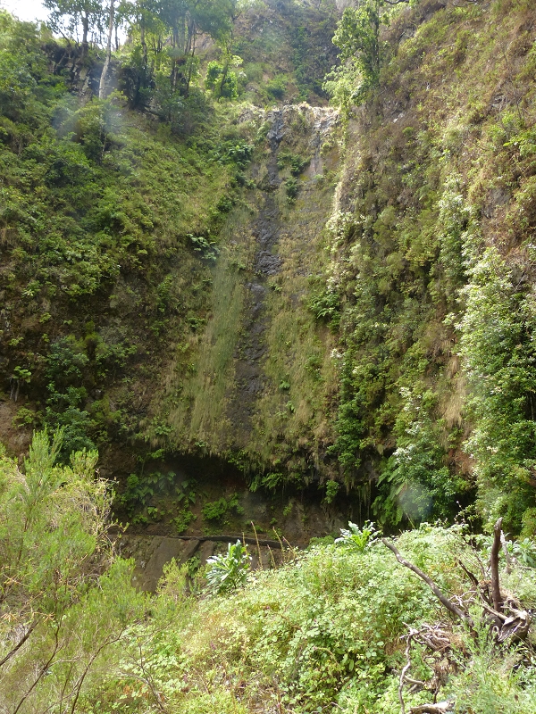 Levada da Serra do Faial — Verlauf bis zum Wasserstollen — Foto 6