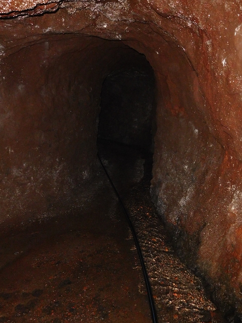 Levada da Serra do Faial — Wasserstollen — Foto 3