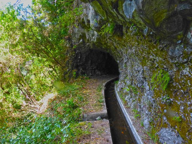 Levada da Silveira — Foto 10