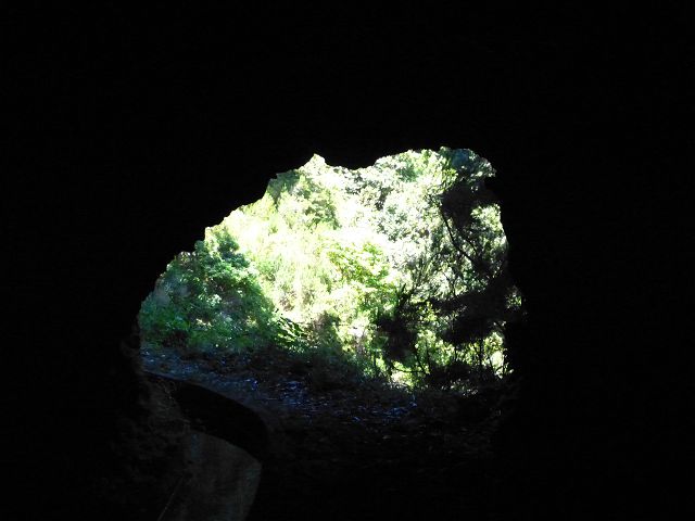 Levada da Silveira — Foto 11