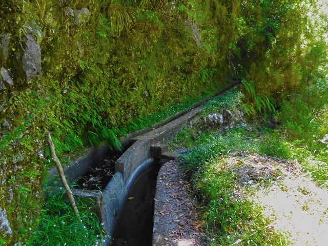 Levada da Silveira — Foto 12
