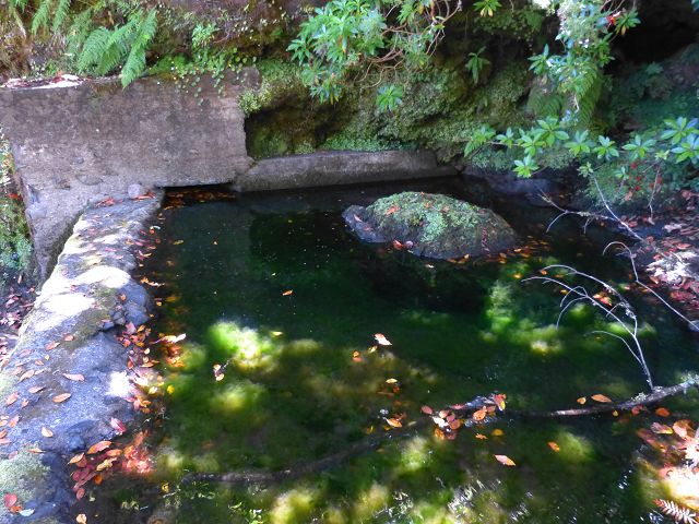 Levada da Silveira — Foto 13