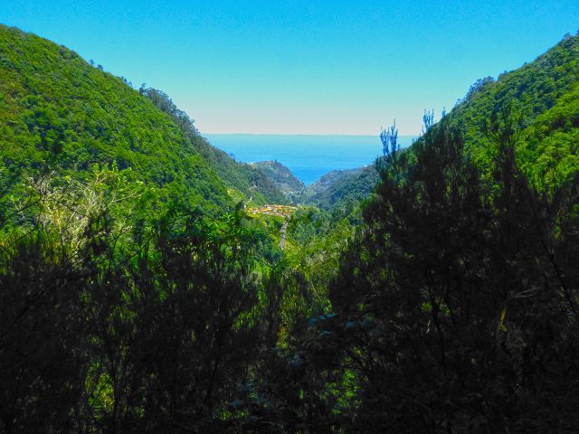 Levada da Silveira — Foto 14