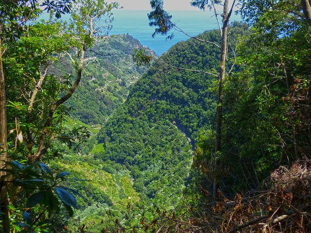 Levada da Silveira — Foto 18