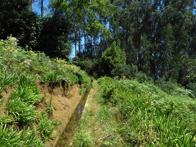 Levada da Silveira — Foto 19