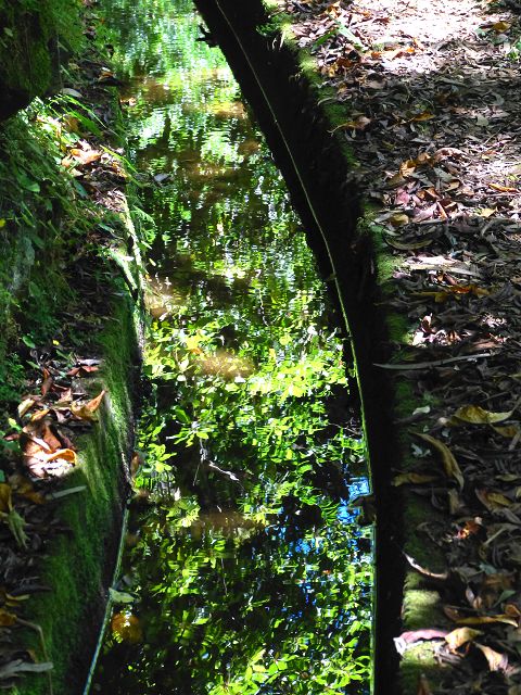 Levada da Silveira — Foto 21