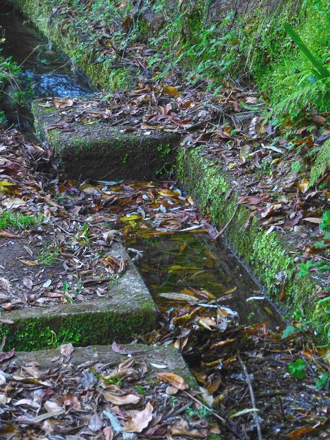 Levada da Silveira — Foto 22