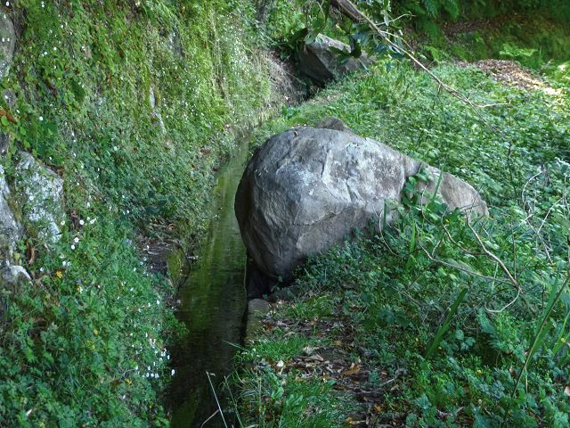 Levada da Silveira — Foto 23