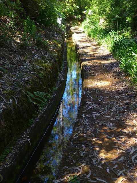 Levada da Silveira — Foto 26