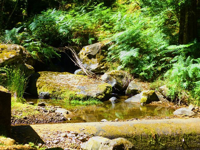 Levada da Silveira — Foto 28