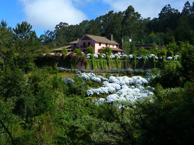 Levada da Silveira — Foto 29