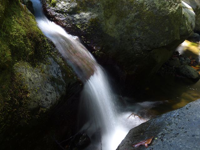 Levada da Silveira — Foto 3