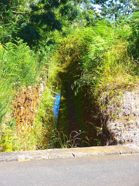 Levada da Silveira — Foto 30