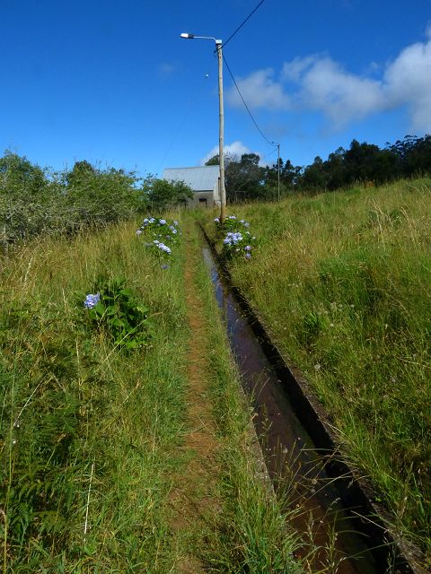 Levada da Silveira — Foto 31