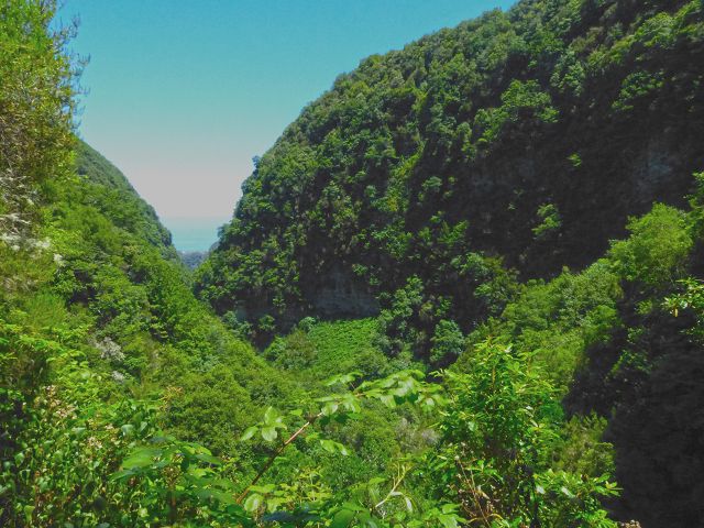 Levada da Silveira — Foto 8