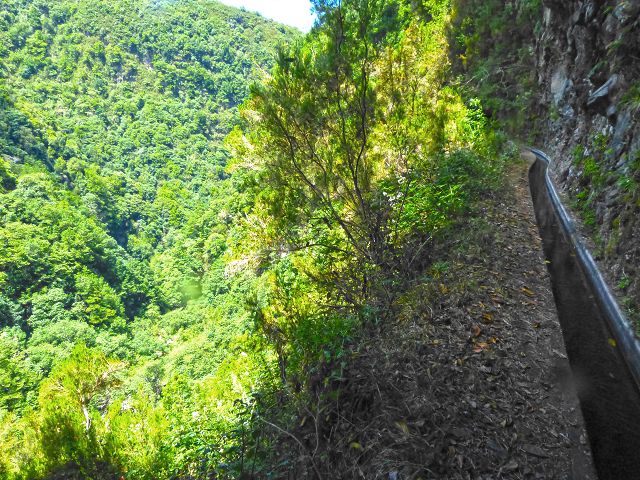 Levada da Silveira — Foto 9