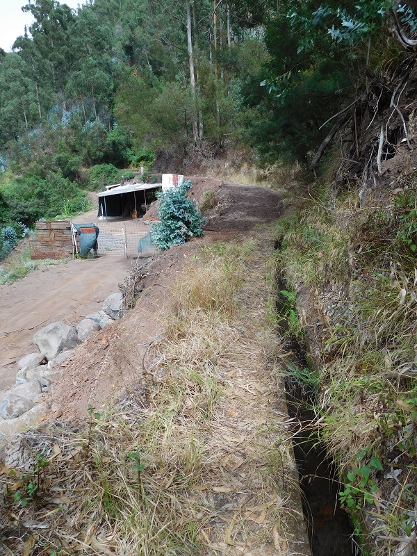 Levada da Tabua — Foto 10