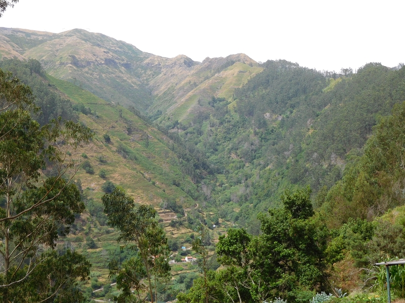 Levada da Tabua — Foto 11