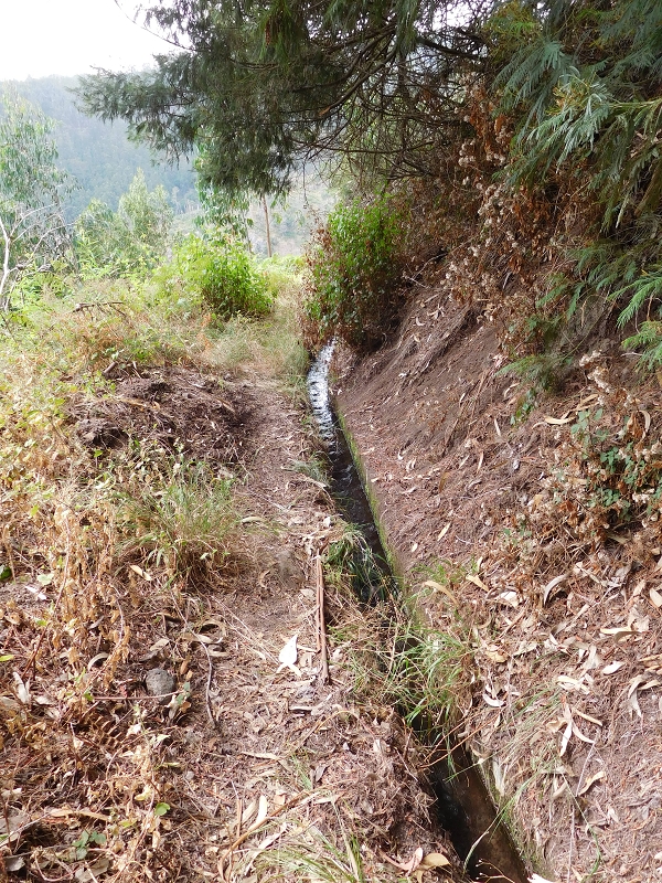 Levada da Tabua — Foto 15