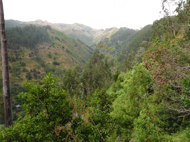 Levada da Tabua — Foto 16