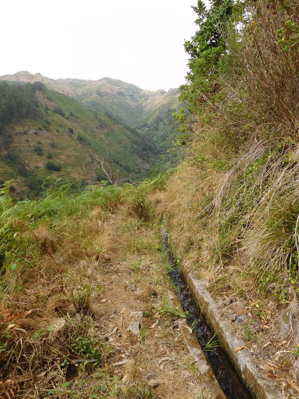 Levada da Tabua — Foto 17