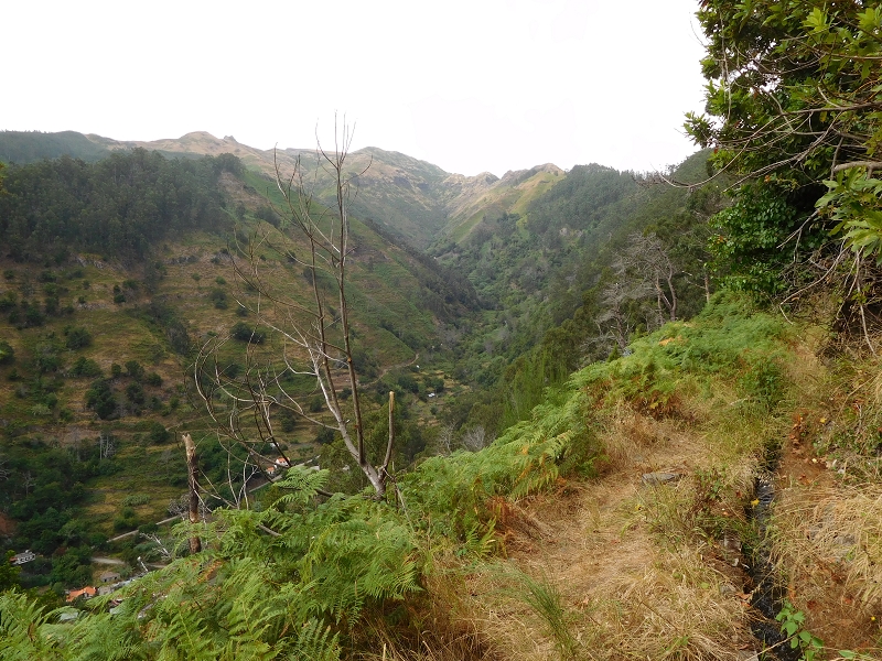 Levada da Tabua — Foto 18