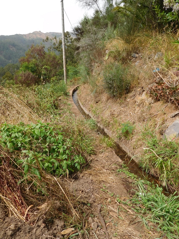 Levada da Tabua — Foto 2