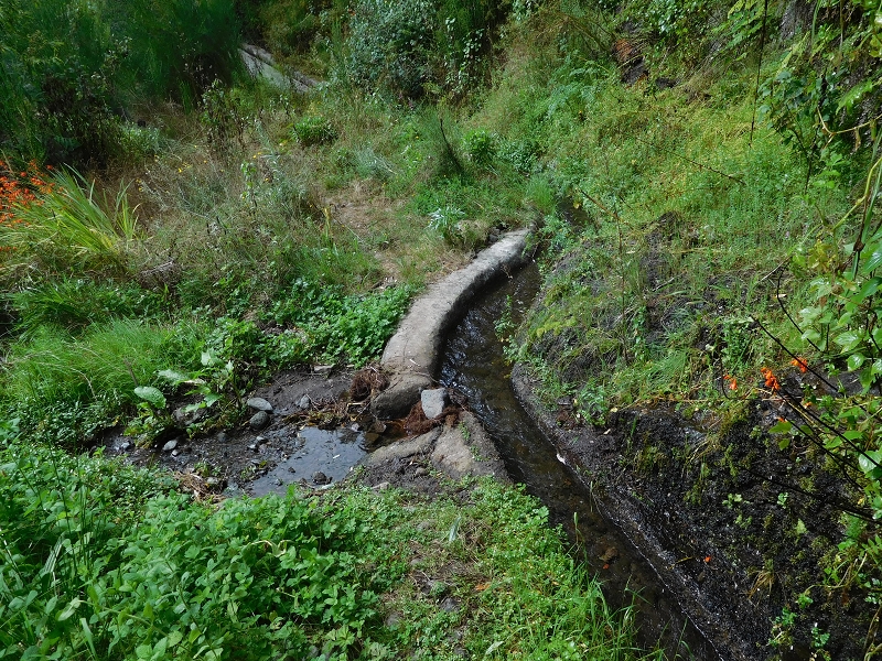 Levada da Tabua — Foto 30