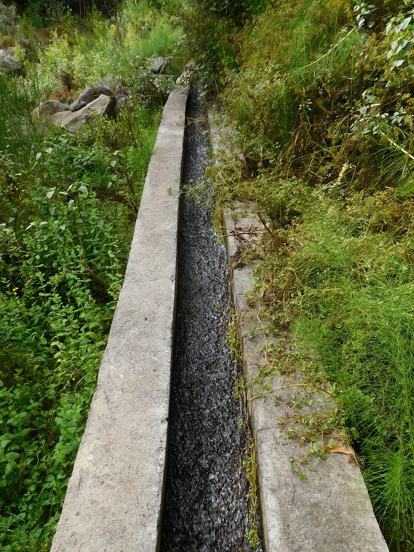 Levada da Tabua — Foto 31