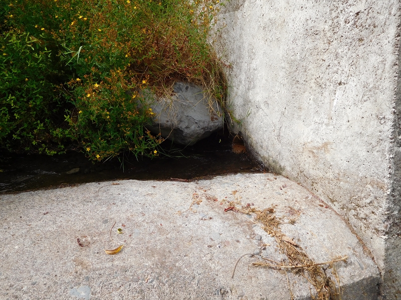 Levada da Tabua — Foto 34