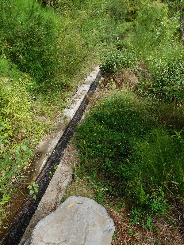 Levada da Tabua — Foto 37