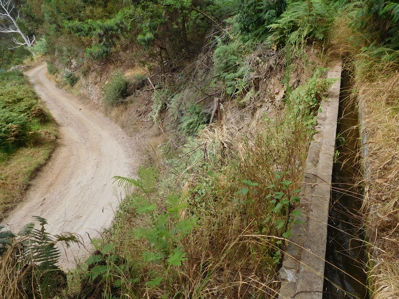 Levada da Tabua — Foto 7