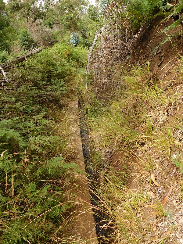 Levada da Tabua — Foto 8