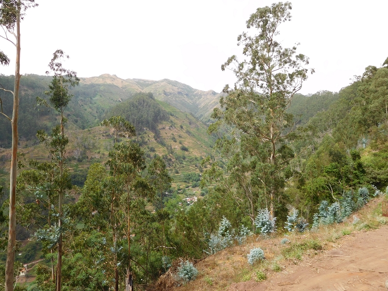 Levada da Tabua — Foto 9