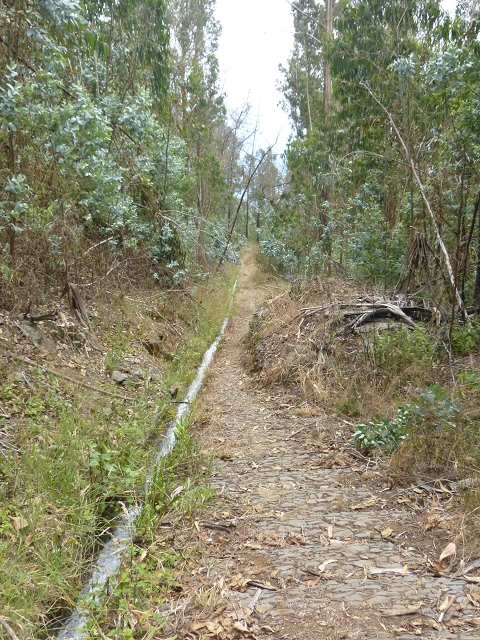 Levada das Cales — Em direção a Terra da Luta — foto 2