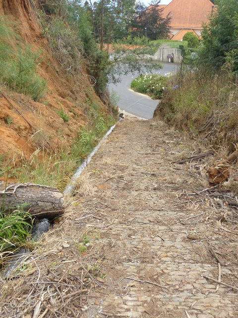Levada das Cales — Em direção a Terra da Luta — foto 3