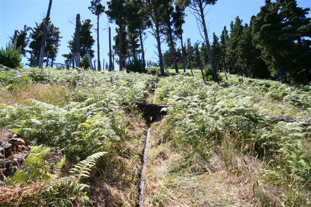 Levada das Cales — Levada de alimentação ocidental — foto 4