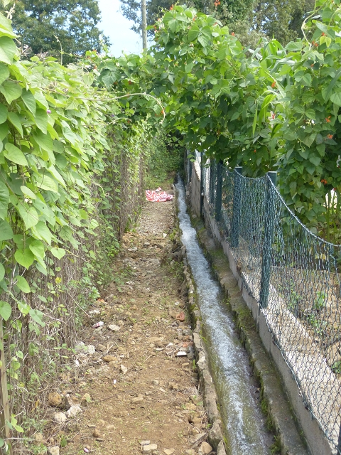 Levada das Cales — O troço final (Vereda das Quintas) — foto 2